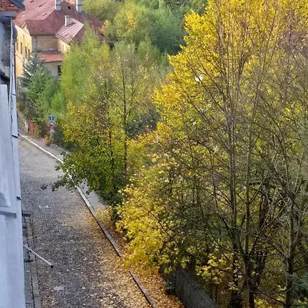 Ap 5 Alice Near Springs - 4 *